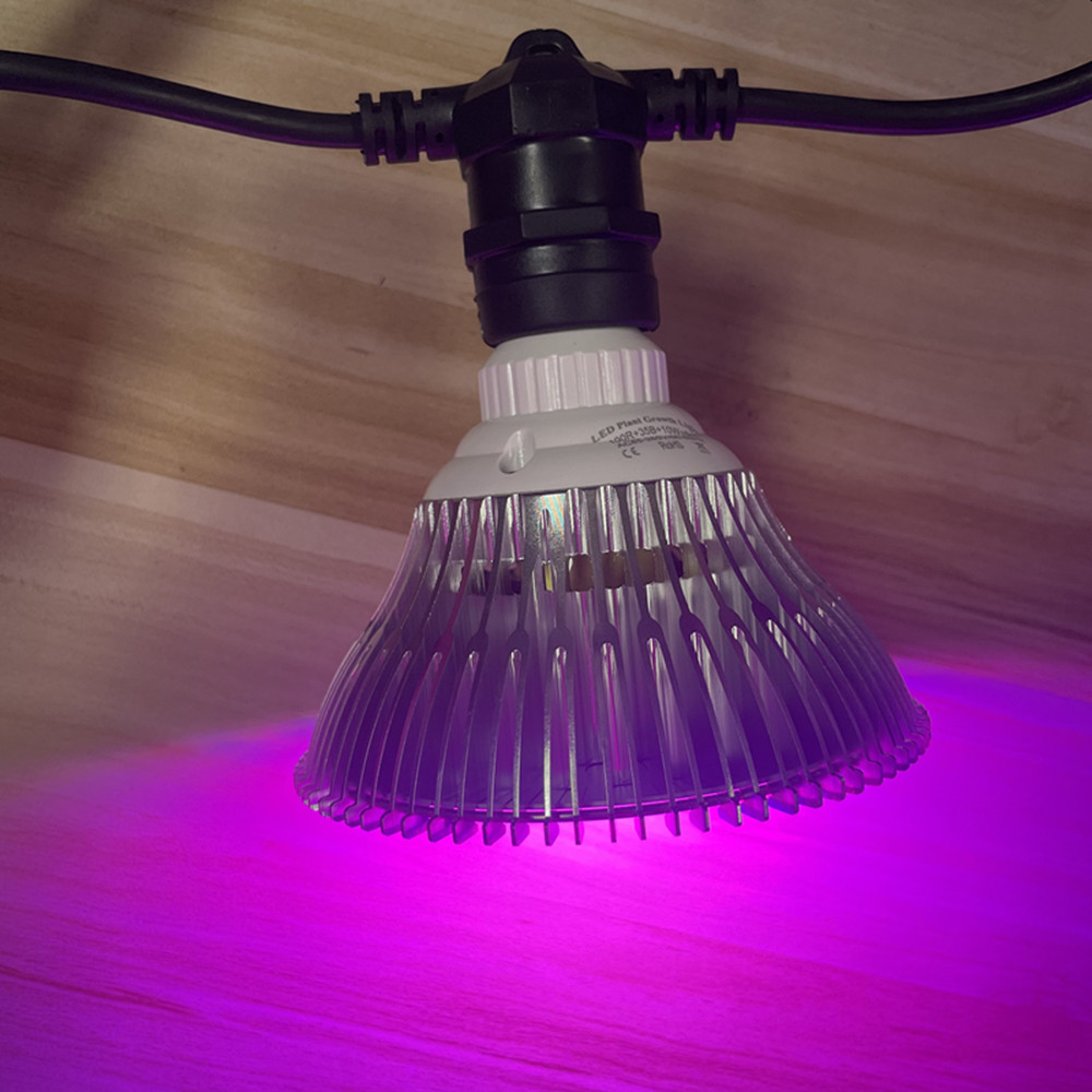 10M Cable LED String Commercia - Outdoor Lighting Diy 评论和价格