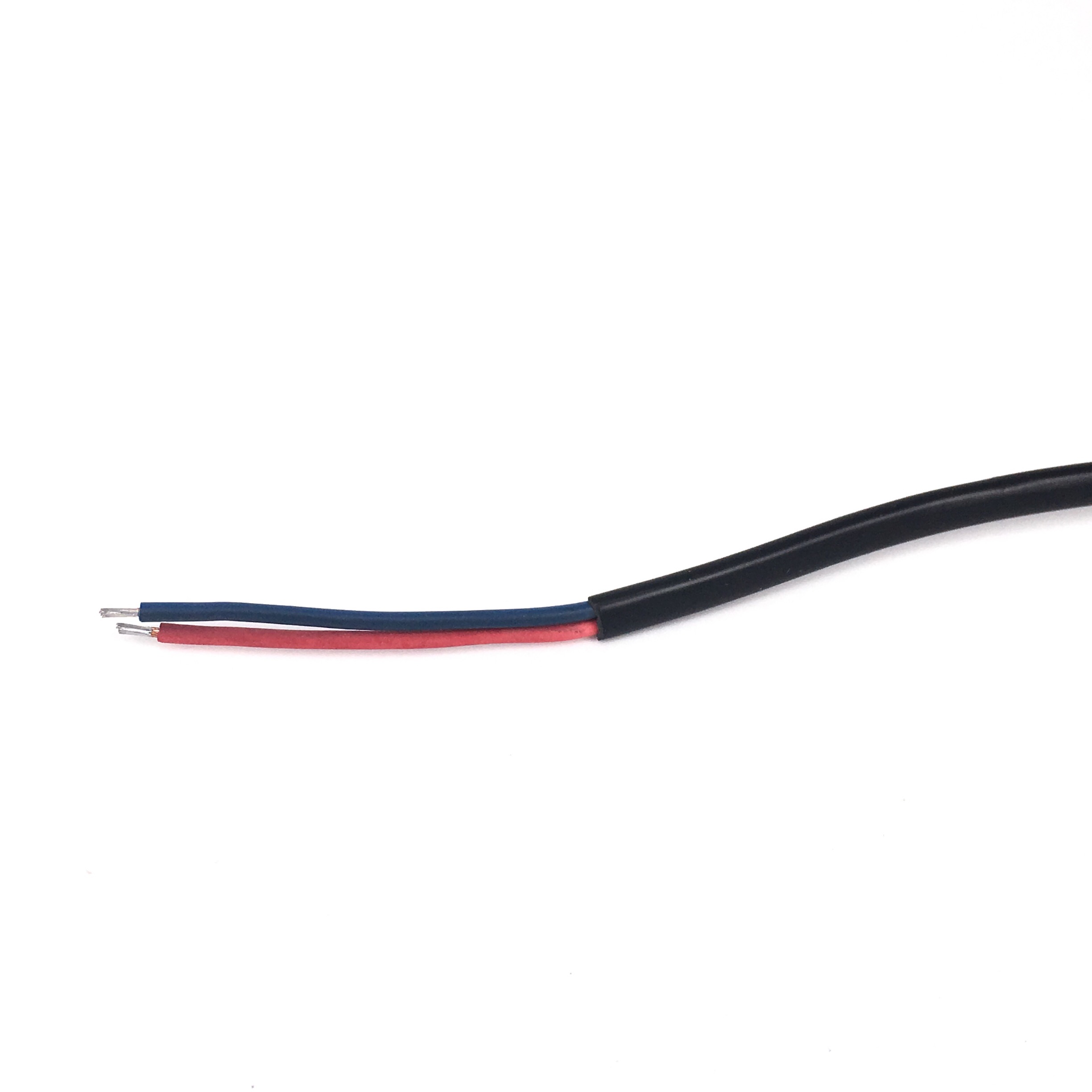 Bltdz EU European AC Power Ext - Outdoor Lighting Japan 评论和价格