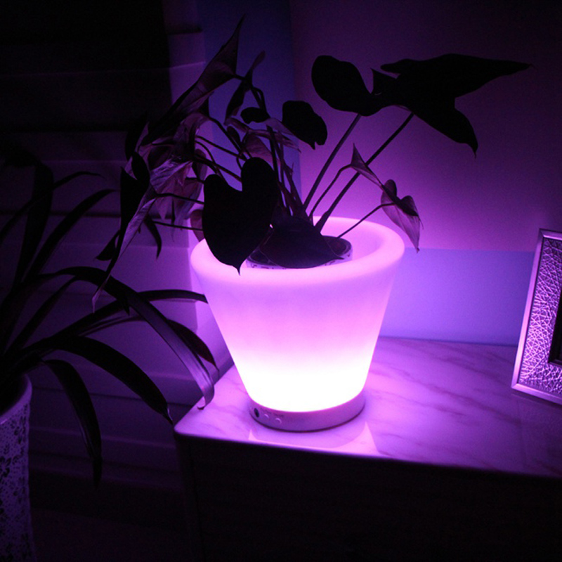 D28*H29cm, D38*H40cm,Luminous  - Outdoor Lighting Options 评论和价格