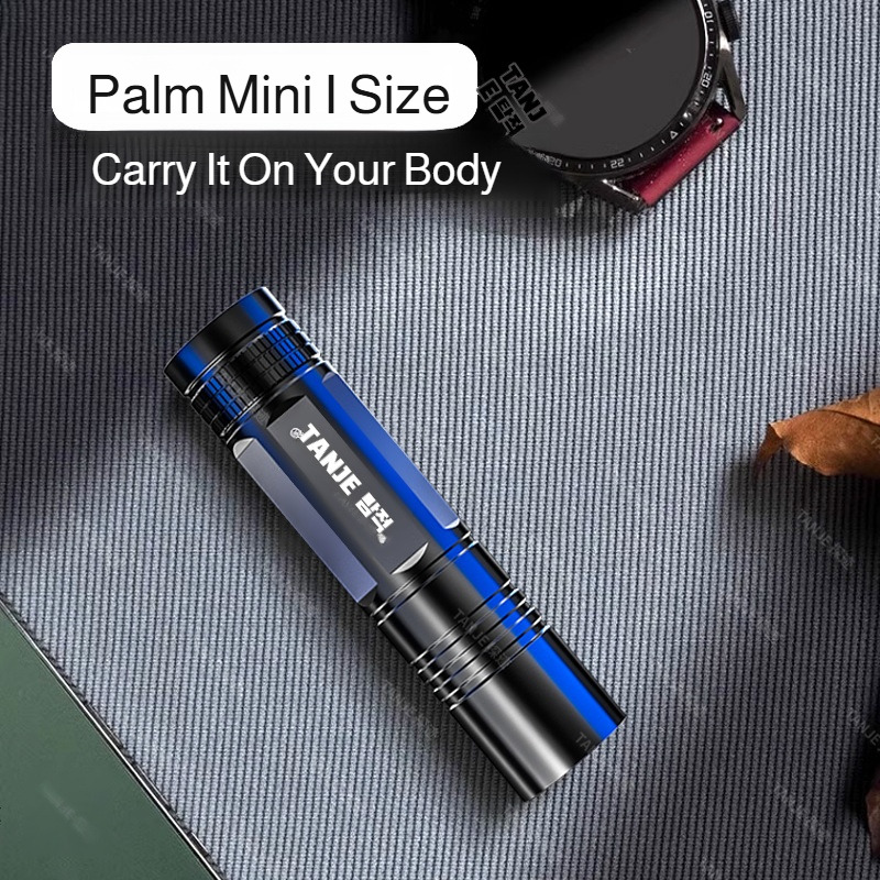 Outdoor Flashlight Small Mini  - Outdoor Lighting Lowes 评论和价格